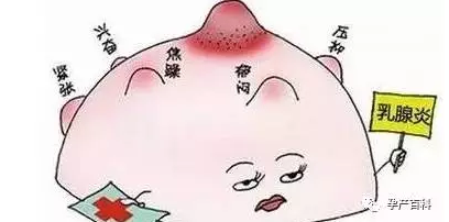 哺乳期乳腺炎，慎用抗生素！